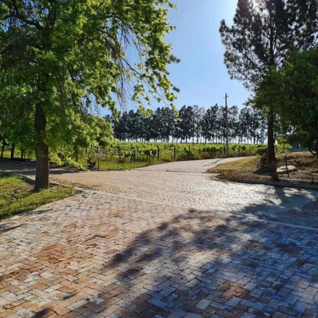 Mon Reve Estate Apartment Cape Town South Africa