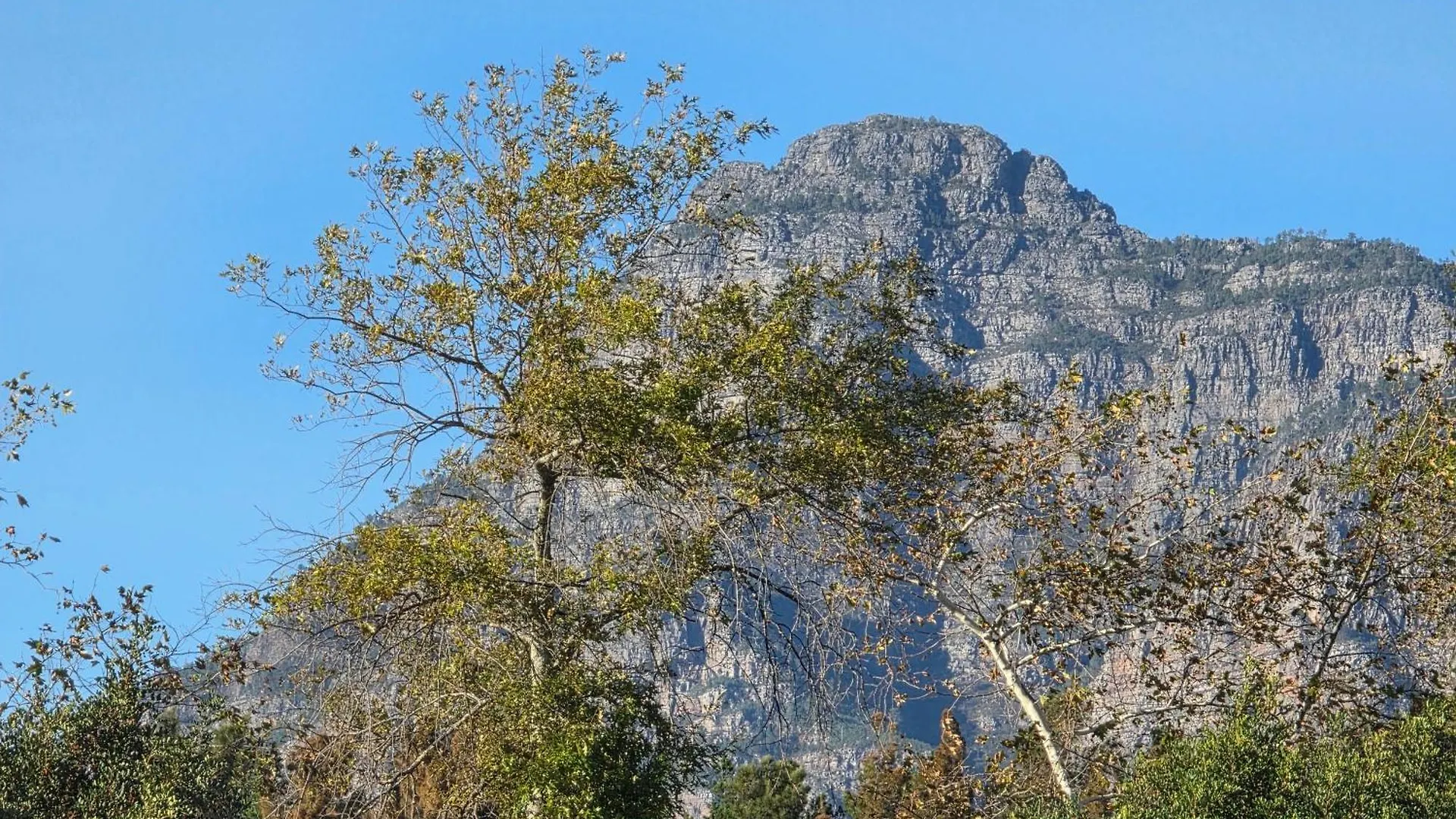 Mon Reve Estate Apartment Cape Town