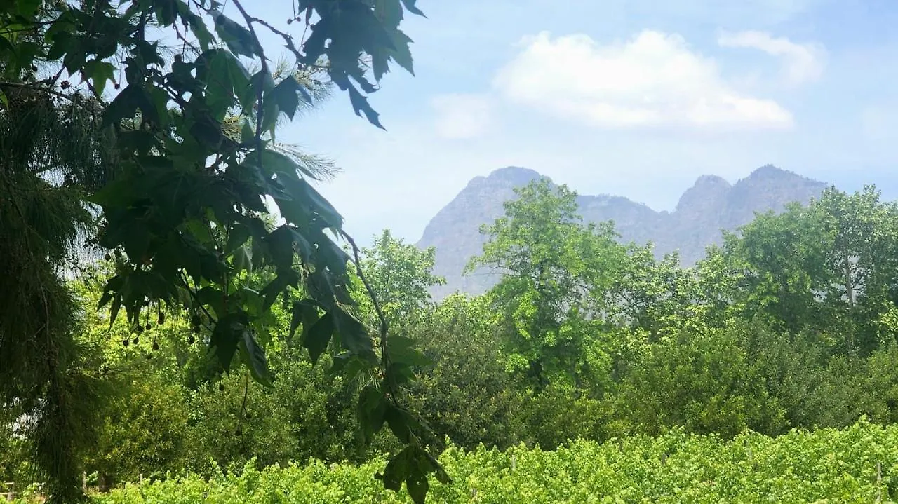Mon Reve Estate Apartment Cape Town