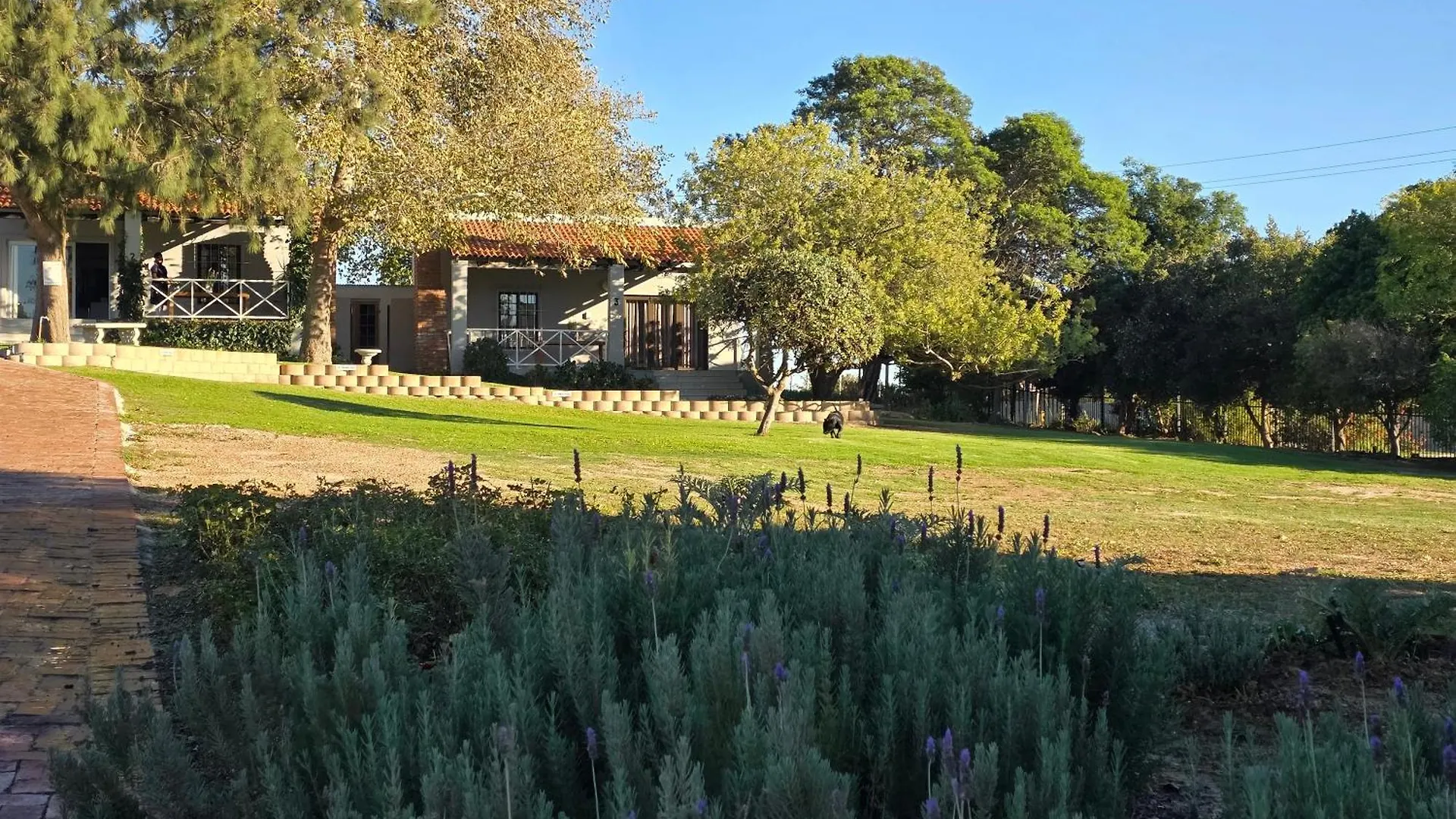 Mon Reve Estate Apartment Cape Town South Africa