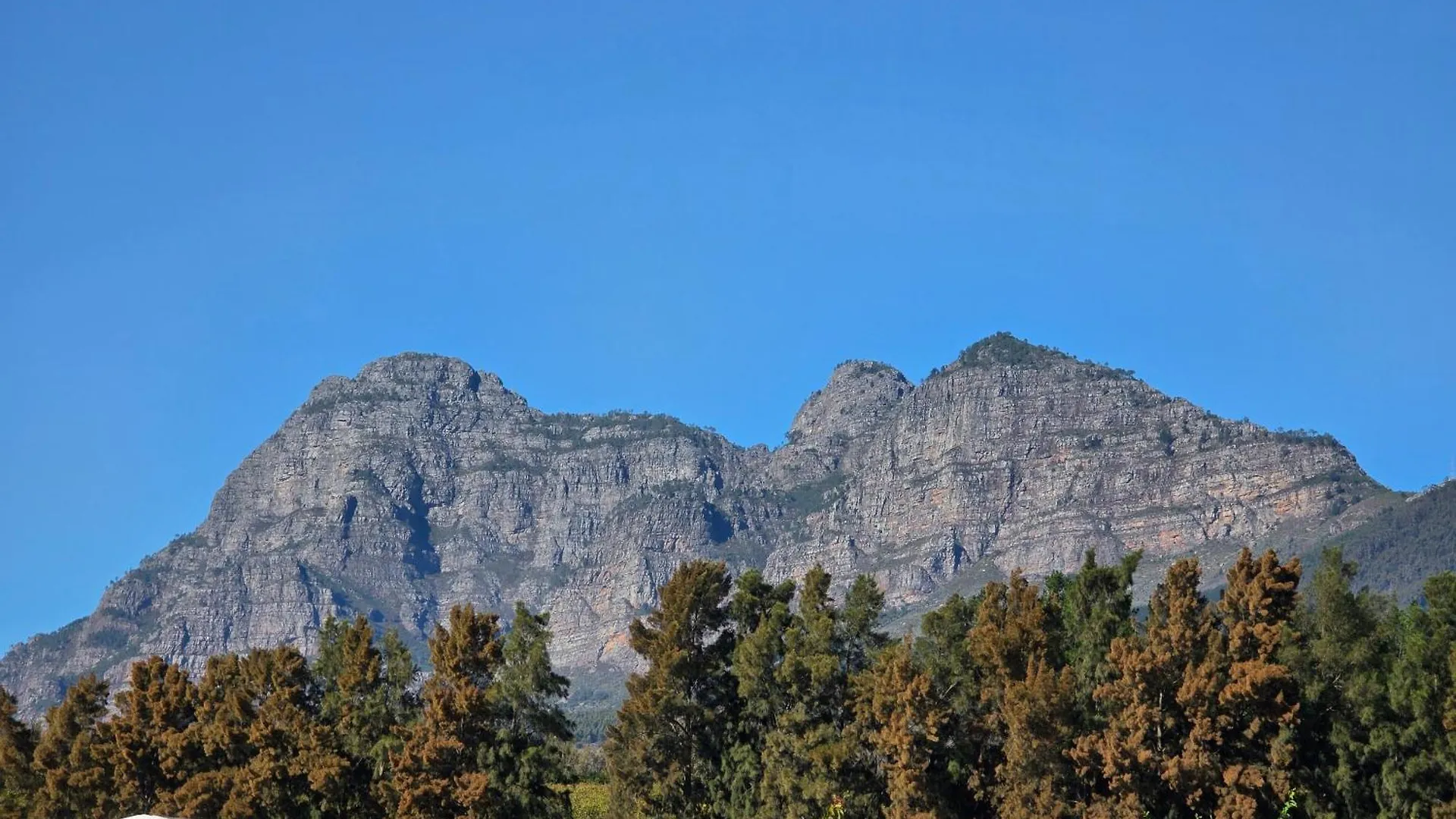 Mon Reve Estate Apartment Cape Town South Africa